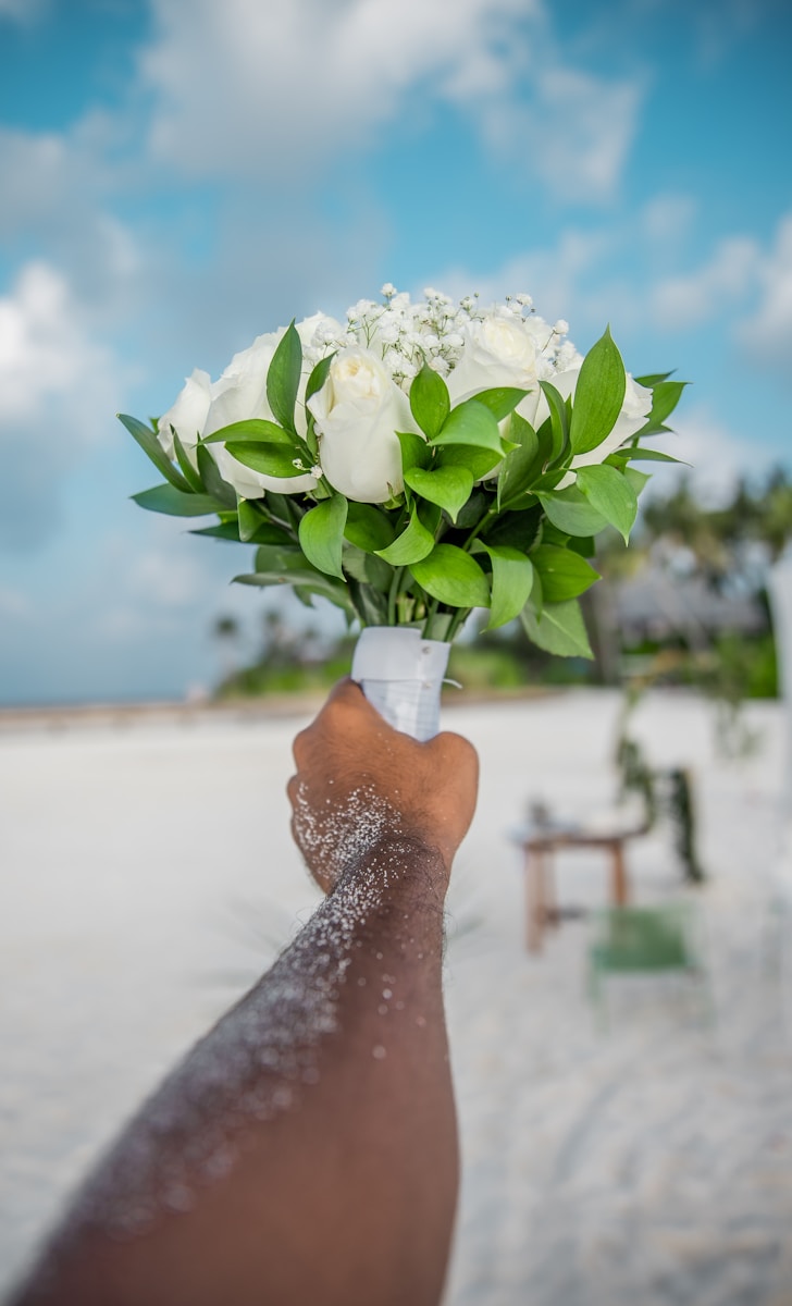 wedding maldive 2